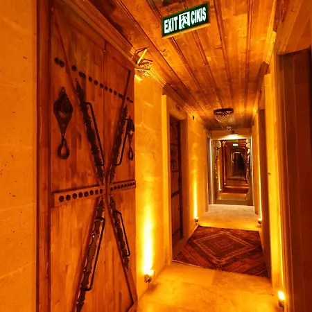 Alika Castle House
